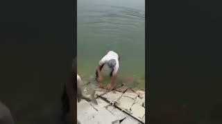 Два рыбака не смогли вытащить толстолобика  #рыбалка