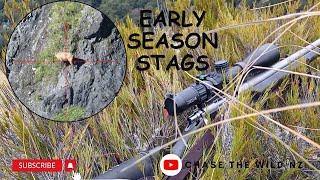 HUNT FOR EARLY SEASON STAGS | HIGH DEER NUMBERS BUT DO WE FIND THE BIG BOY!! 7MM BLASER & REM MAG