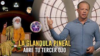 The Third Eye: The POWER of the Pineal Gland | @drjoedispenza & @Sadhguru Spanish