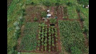 SJS One Acre Farm