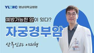 [영대병원X비온뒤] 자궁경부암 (영남대학교병원 산부인과 이대형 교수)