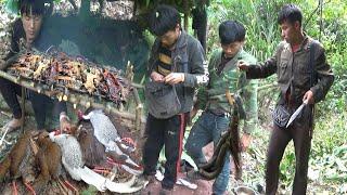 Hunting Squirrels and Silver pheasant In The Jungle | Yos hav zoov tua nraj tua nas nyob naj hooj