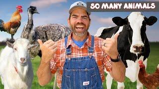 Meet the Animals With Farmer Jason! (Learn About Animals, For Kids)