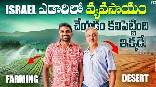 ఎడారి లో వ్యవసాయం ఎలా చేస్తున్నారు | Agricultural In Israel  Drip irrigation | Uma TeluguTraveller