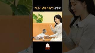 강아지들의 비밀을 누설한 강형욱