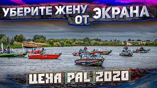 ЖЕНЕ не ПОКАЗЫВАТЬ. САМЫЕ ДоРоГиЕ лОдкИ в турнире PAL 2020. ПОКАЖЕМ ВСЕ.