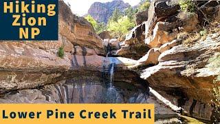 Hiking Lower Pine Creek Waterfall Trail in Zion National Park with Family