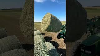 Loading Alfalfa #hayseason