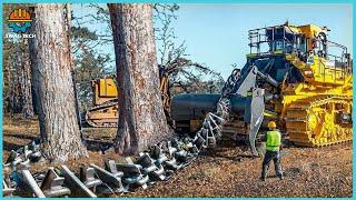 119 Amazing Fastest Big Tree Removal Bulldozers Working At Another Level