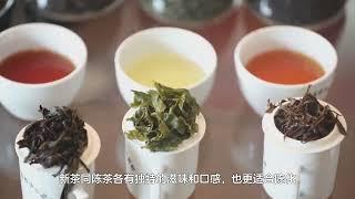 茶叶买新茶还是陈茶？搞明白不被坑