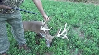 Illinois giant whitetail 200 plus inches