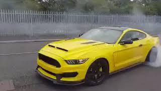 Mustang leaving car meet and crowds survive