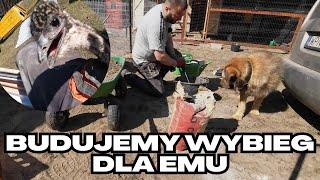 Budowa ogrodzenia panelowego z furtką