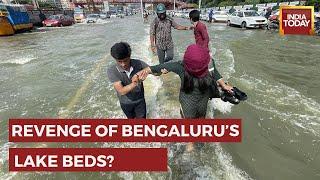 What Is The Reason Behind Floods In Bengaluru? | Bengaluru Floods News | Karnataka News