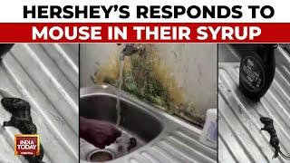 Woman Finds 'Dead Mouse’ In Hershey’s Chocolate Syrup, Company Reacts To Post | Viral | India Today