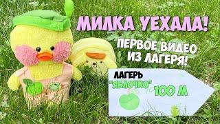 Уточка Милка уехала в летний лагерь! Первое видео от Милки! Летние Идеи для уточек LALAFANFAN