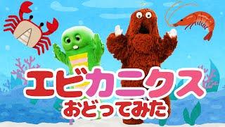 【エビカニクス／ケロポンズ】ガチャピンとムックが踊ってみた！【ダンス】