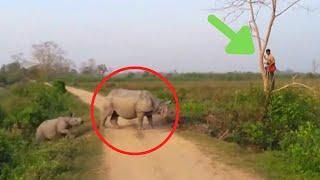 6 Rhino Encounters That Will Leave You Shook