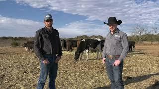 Mike Block and Matt Gray  Texas Rancher