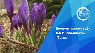 Ботаническому саду Ивановского государственного университета исполнилось 45 лет