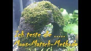 Ich teste die...... Moos-Matsch-Methode