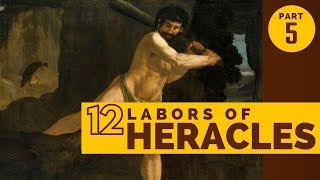 The 12 Labors of Heracles Part 5 - The Erymanthian Boar