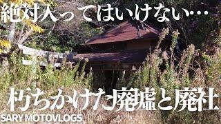 【廃墟と廃寺】倒壊待ったなしの廃墟と廃社が美しい　長柄町山根