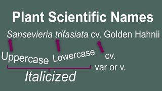 Plant Taxonomy