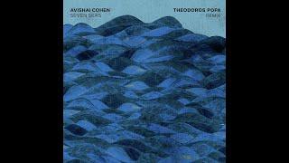 Avishai Cohen - Seven Seas (Theodoros Popa Remix)