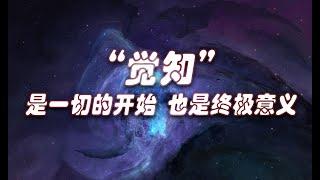 “觉知”是一切的开始，也是你的终极意义