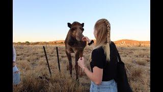 What is there to do in Mount Isa, Queensland??