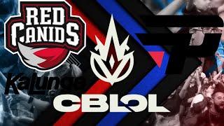 RED x paiN Highlights CBLOL 2024 1/20