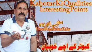 Ustad Raja Iftikhar KaKa|Kabotar Ki Achay Qualities|Interesting Points|Information|Tips|Discussion