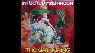 Infected Mushroom - The Gathering | Full Album