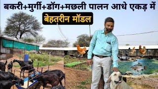 एक किसान का Integrated Farming System । मुर्गी+बकरी+कुत्ता+मछली पालन आधे एकड़ में । How to start IFS