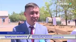 КАК УВЕЛИЧИТЬ ПОГОЛОВЬЕ ОВЕЦ