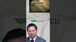 콜레스테롤 식품: 내가 사랑하는 맛있는 음식들