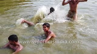 Children in a pool at India Gate | Beat the heat in slow motion
