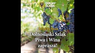 #SzlakMaSmak – Dolnośląski Szlak Piwa i Wina