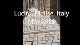 Lucito Molise walkthrough