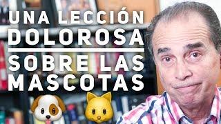 Episodio #1581 Una Lección Dolorosa Sobre Las Mascotas