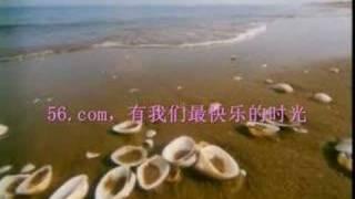 56网——红花开红的心红的好美丽，为了你等下去我还在这里