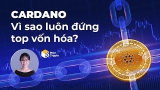 Cardano: Có gì mà luôn đứng top vốn hóa?