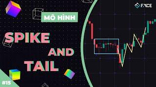 Tìm Hiểu Mô Hình Spikes And Tails Trong Forex | Cách Giao Dịch Chính Xác Với Spikes And Tails