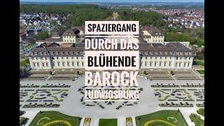 Blühendes Barock - Ein Spaziergang durch die Anlage des Residenzschlosses Ludwigsburg