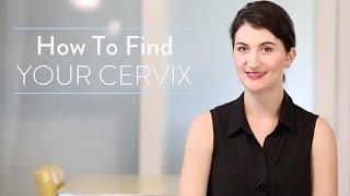 Conception 101: How To Find Your Cervix