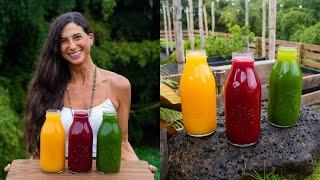 Best Juicing Recipes for Beginners  Simple & Easy Combinations for Healing, Wellness, & Weightloss