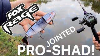 Pike Fishing with the Fox Rage Jointed Proshad! (new lure 2020 review)