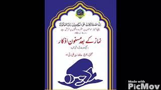 Daily Quran and Hadith