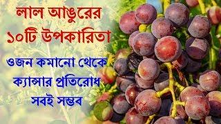 Top 10 Health Benefits of Eating Red Grapes | লাল আঙুরের পুষ্টিগুন এবং ১০টি উপকারিতা